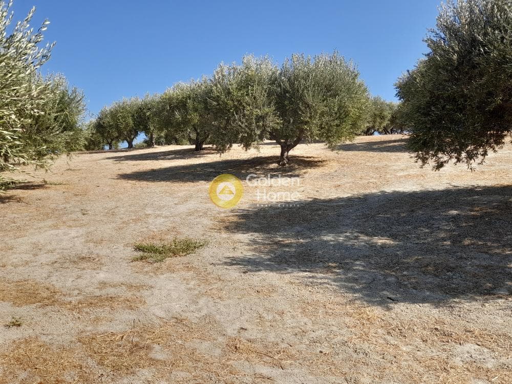 Building Plot in Chrisostomos, Heraclion Cretes — Photo 9 of 21