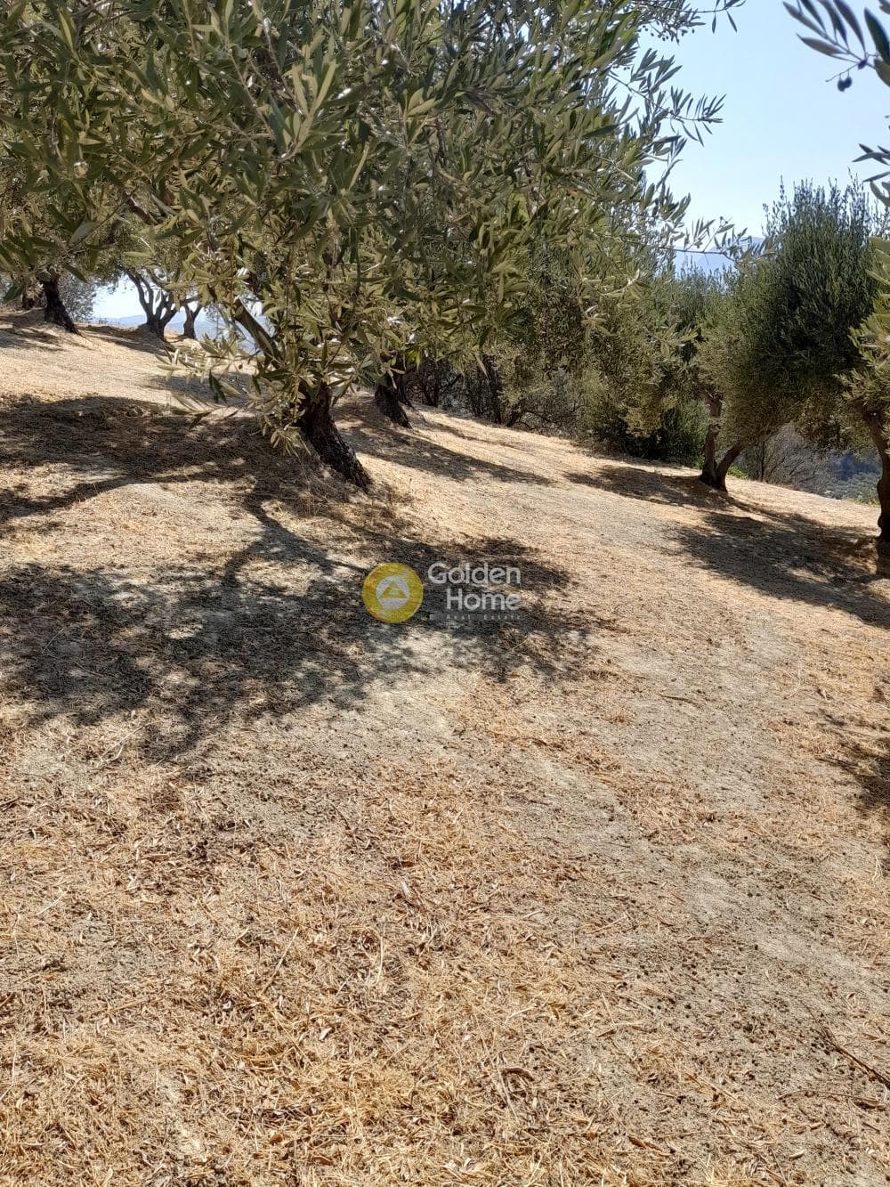 Building Plot in Chrisostomos, Heraclion Cretes — Photo 11 of 21