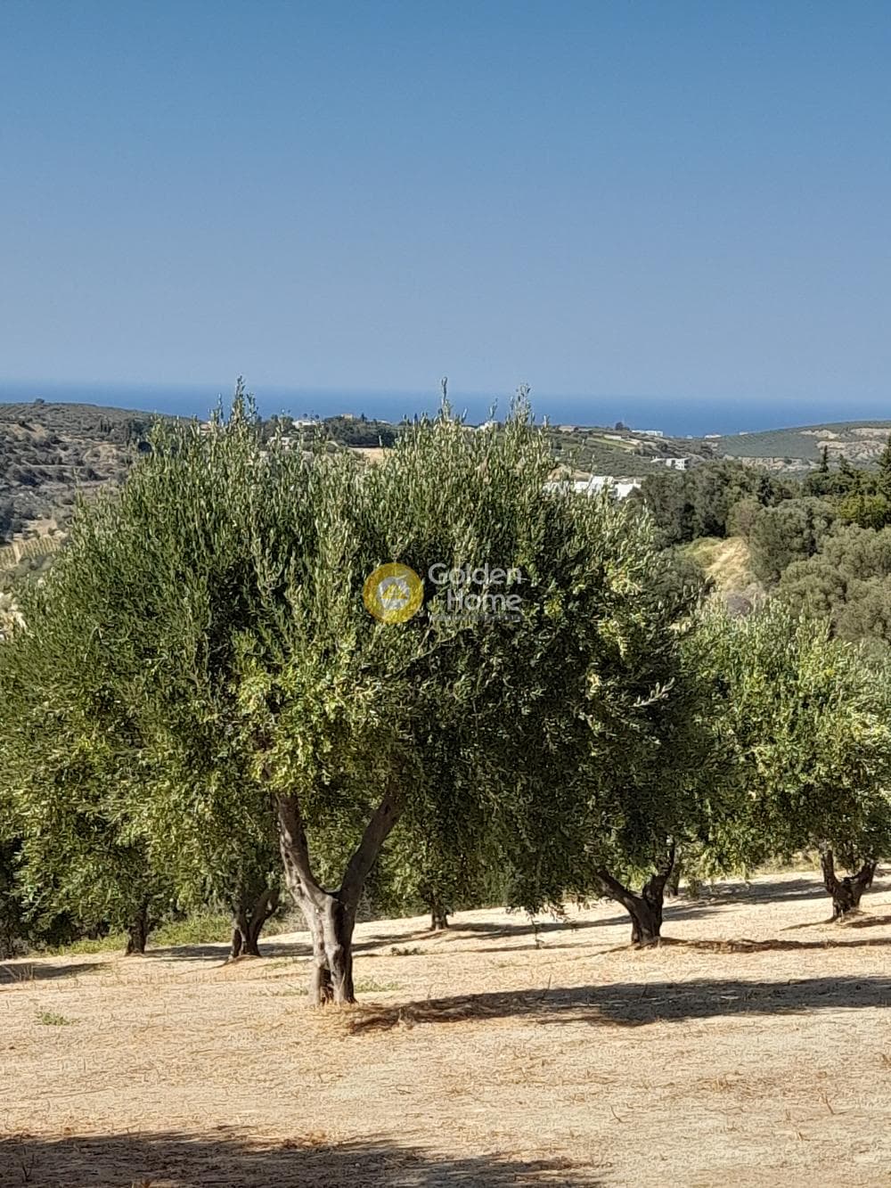 Building Plot in Chrisostomos, Heraclion Cretes — Photo 14 of 21
