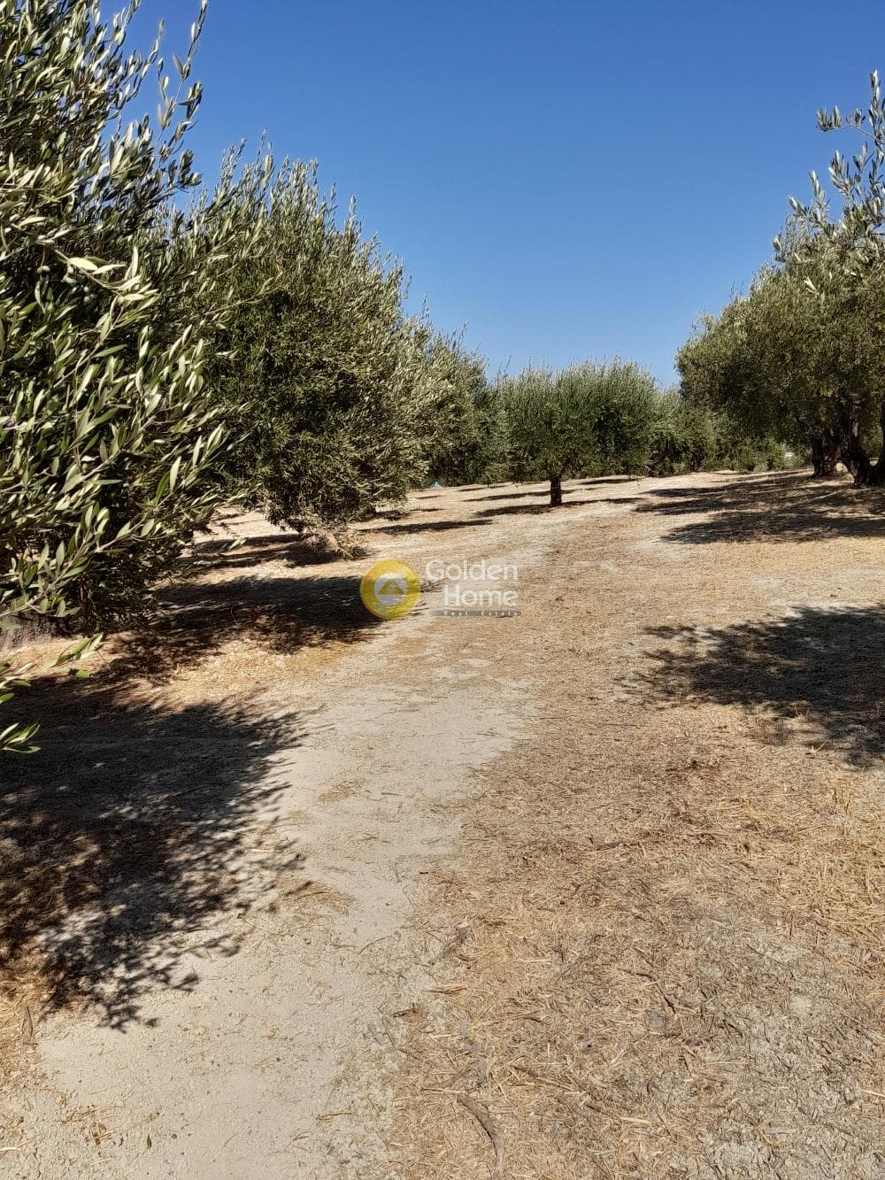 Building Plot in Chrisostomos, Heraclion Cretes — Photo 15 of 21