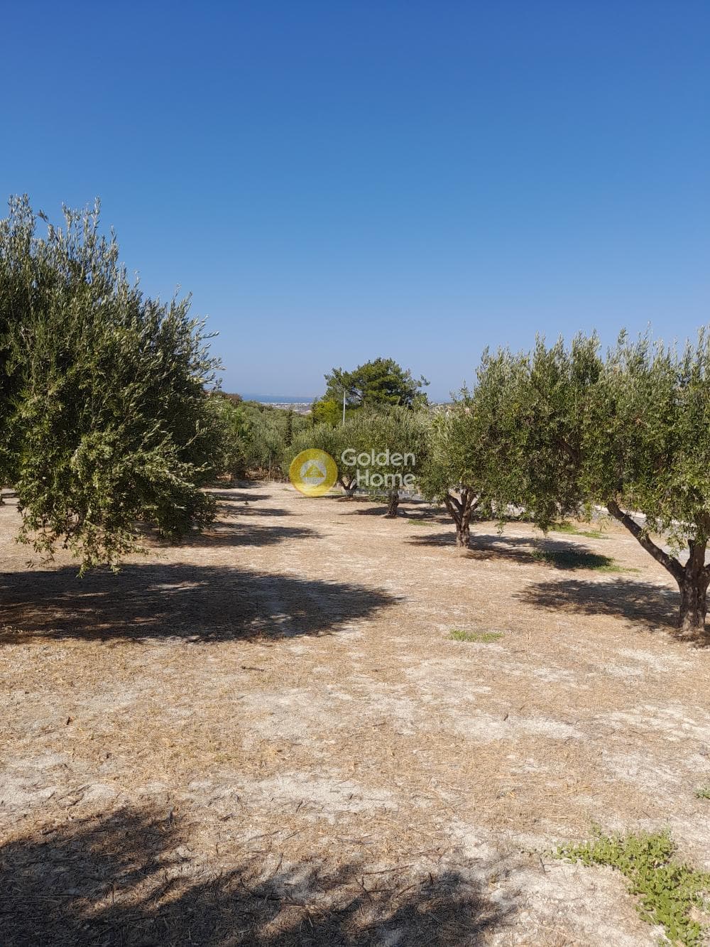 Building Plot in Chrisostomos, Heraclion Cretes — Photo 21 of 21