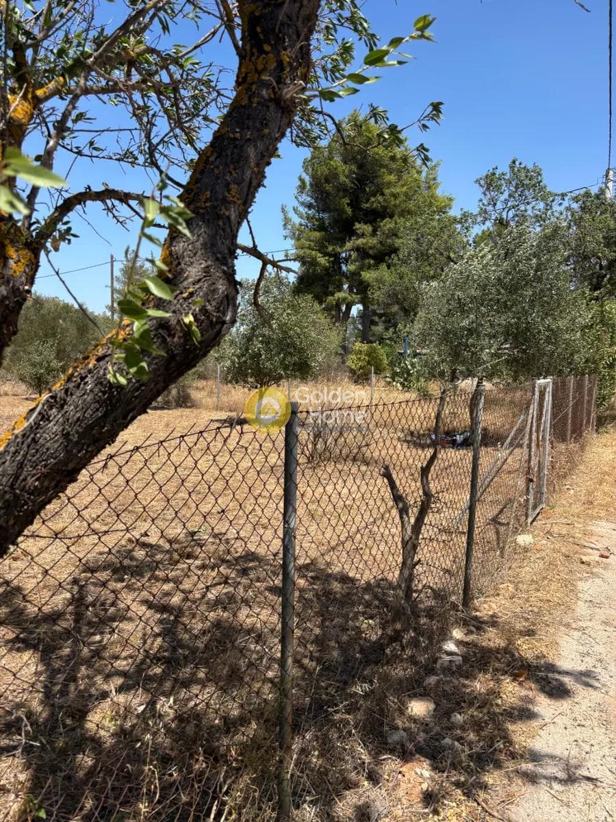 Οικόπεδο στην Κέντρο, Κορωπί — Φωτογραφία 1 από 4