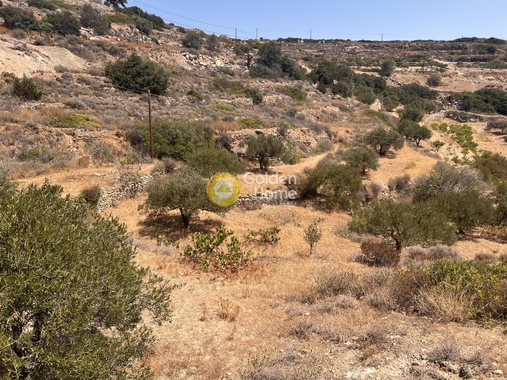 Αγροτεμάχιο στην Κώστος, Πάρος — Φωτογραφία 4 από 7