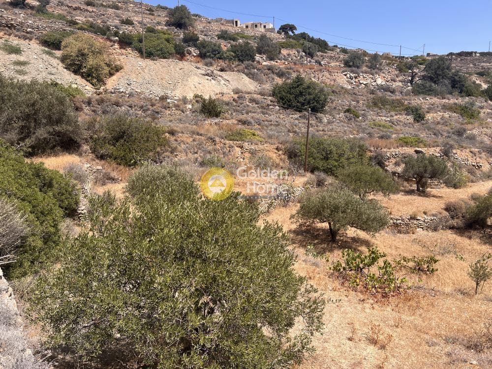 Αγροτεμάχιο στην Κώστος, Πάρος — Φωτογραφία 5 από 7