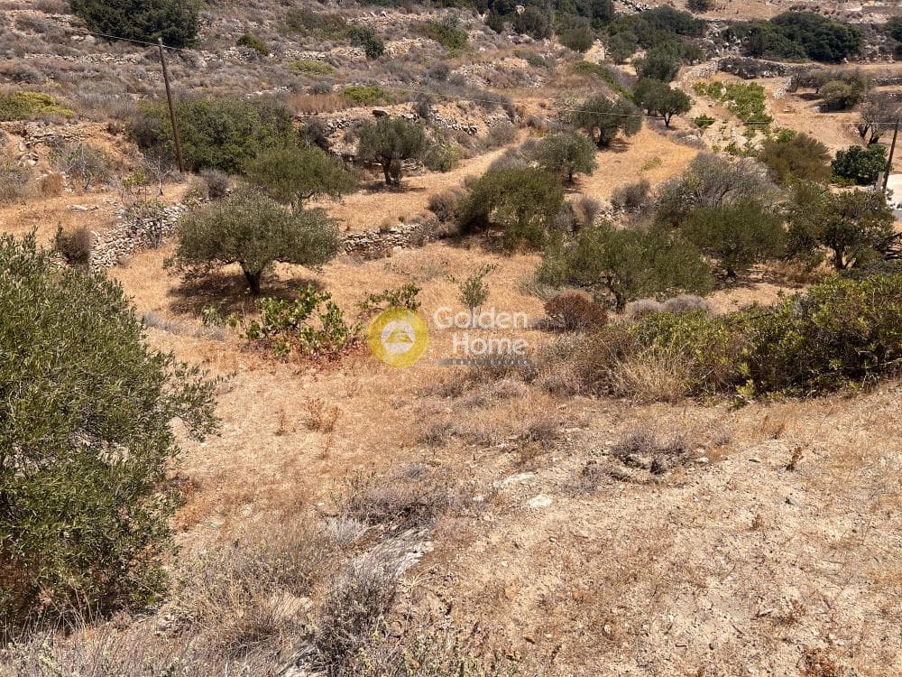 Αγροτεμάχιο στην Κώστος, Πάρος — Φωτογραφία 3 από 7