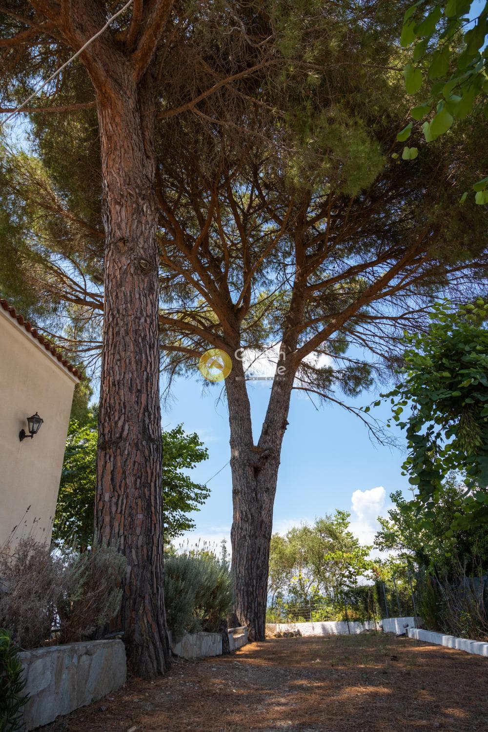 Οικόπεδο στην Παρέλι, Κέρκυρα — Φωτογραφία 5 από 21