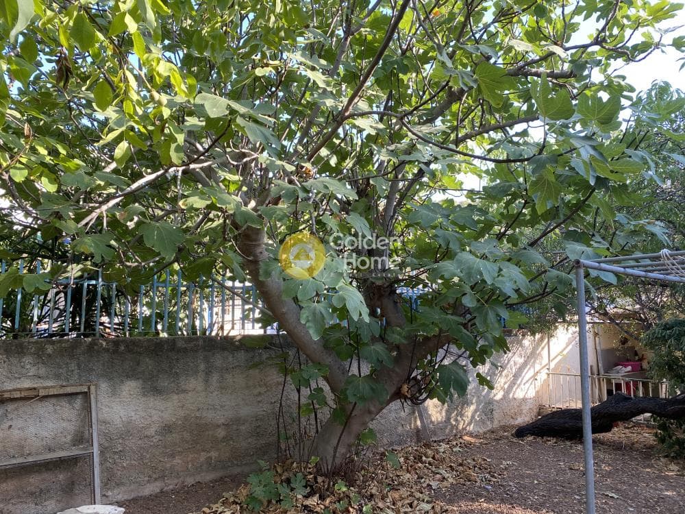 Οικόπεδο στην Γαλάζια ακτή, Καλύβια Θορικού — Φωτογραφία 8 από 15