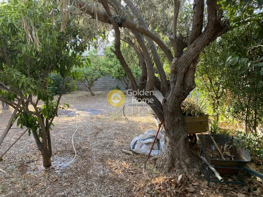 Οικόπεδο στην Γαλάζια ακτή, Καλύβια Θορικού — Φωτογραφία 13 από 15