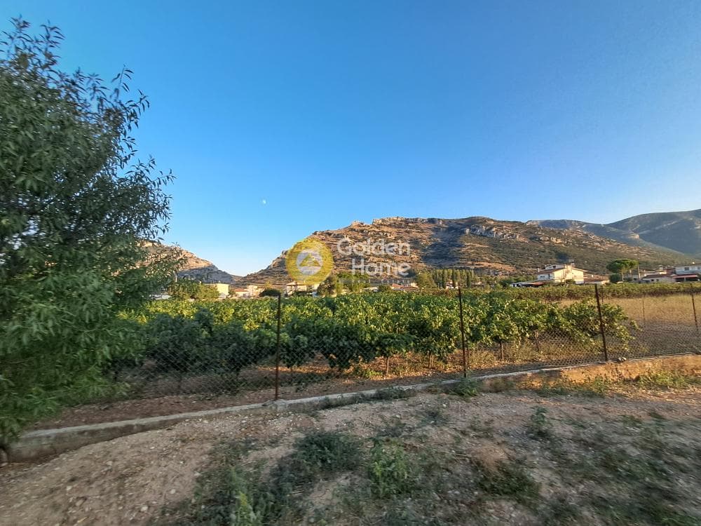Μονοκατοικία στην Κέντρο, Νεμέα — Φωτογραφία 20 από 26