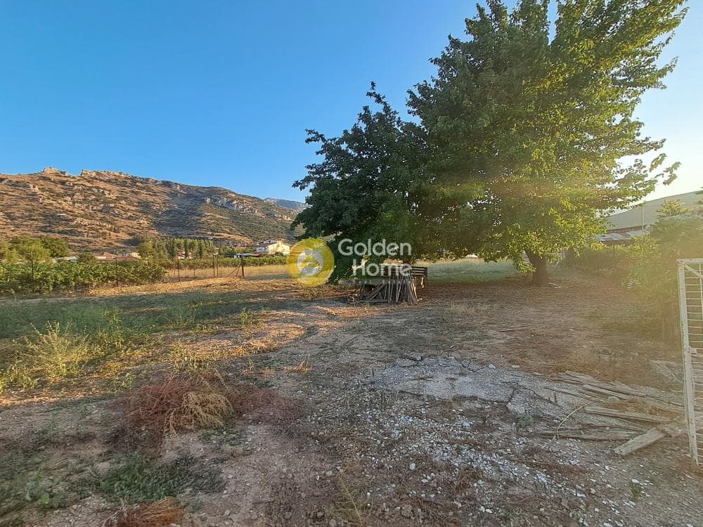 Μονοκατοικία στην Κέντρο, Νεμέα — Φωτογραφία 25 από 26