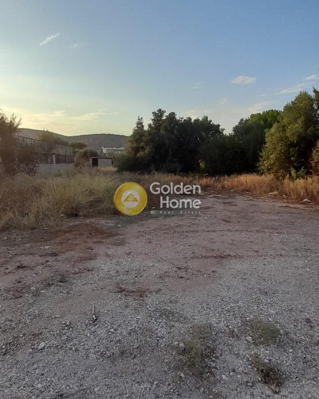 Building Plot in Agia Marina, Koropi — Photo 4 of 5