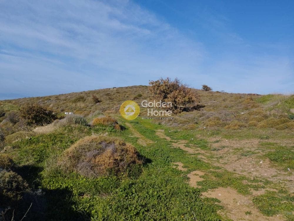 Αγροτεμάχιο στην Τζια, Κέα — Φωτογραφία 4 από 12