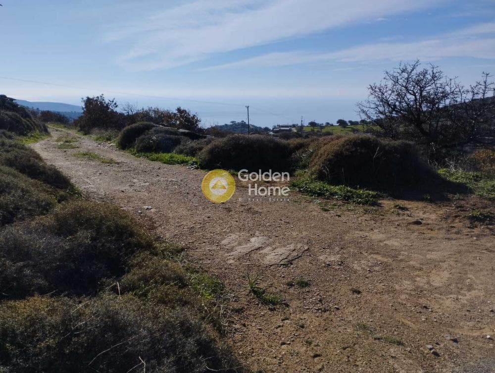 Αγροτεμάχιο στην Τζια, Κέα — Φωτογραφία 10 από 12