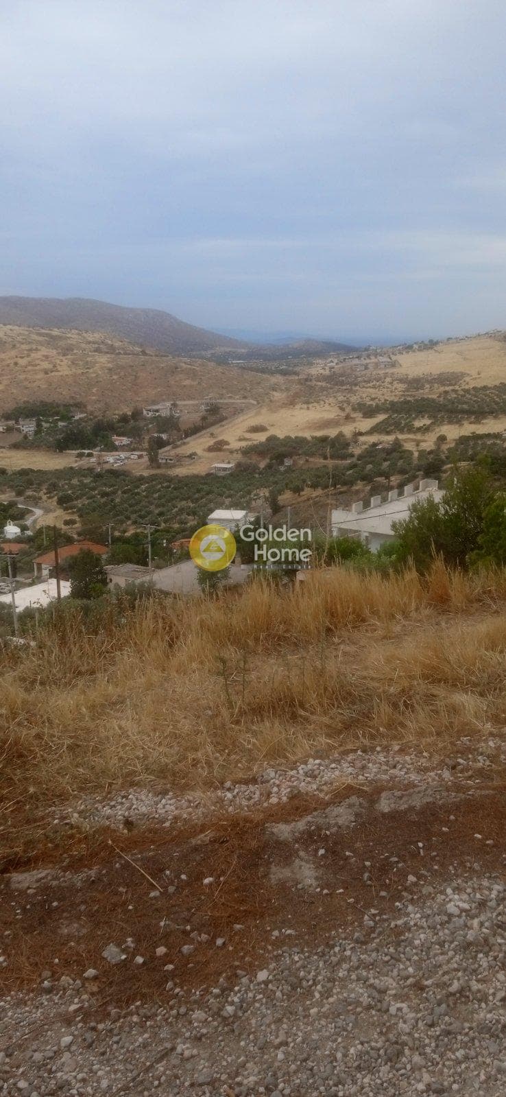 Αγροτεμάχιο στην Ανάβυσσος Κέντρο, Ανάβυσσος — Φωτογραφία 4 από 8