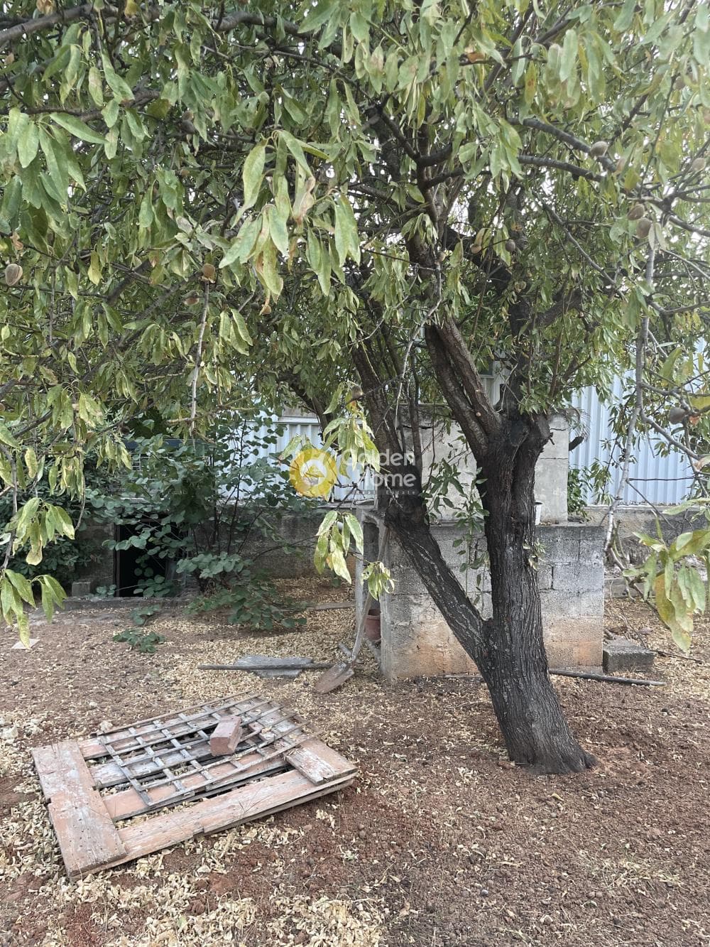 Building Plot in Porto Rafti, Vravrona — Photo 6 of 7