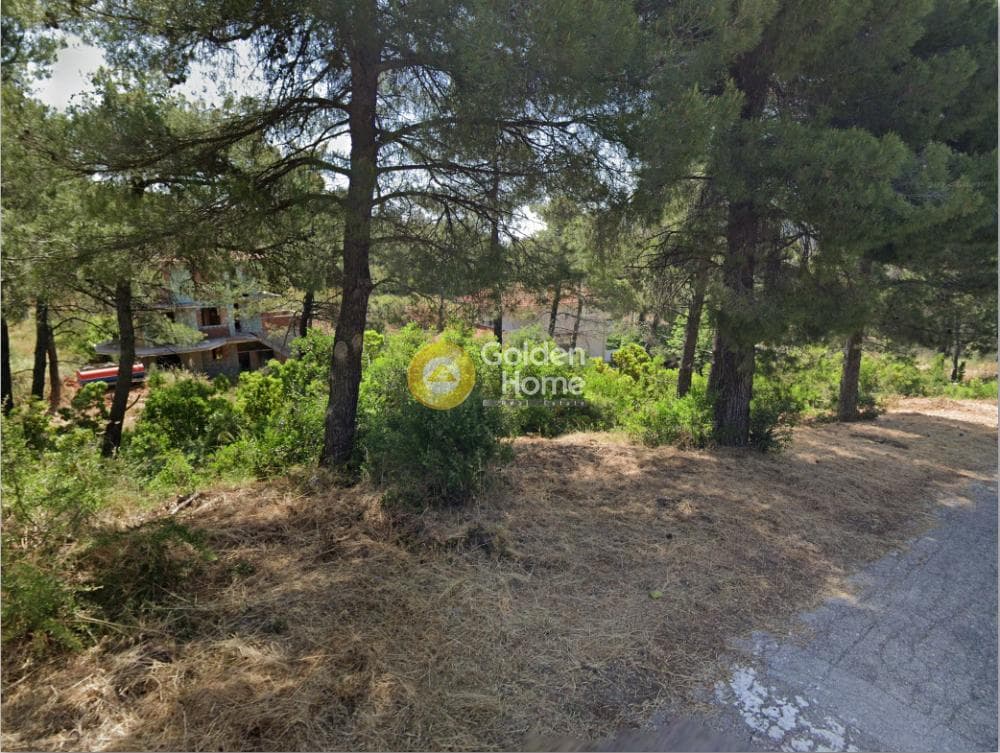 Οικόπεδο στην Αυγή, Αφίδνες — Φωτογραφία 3 από 6