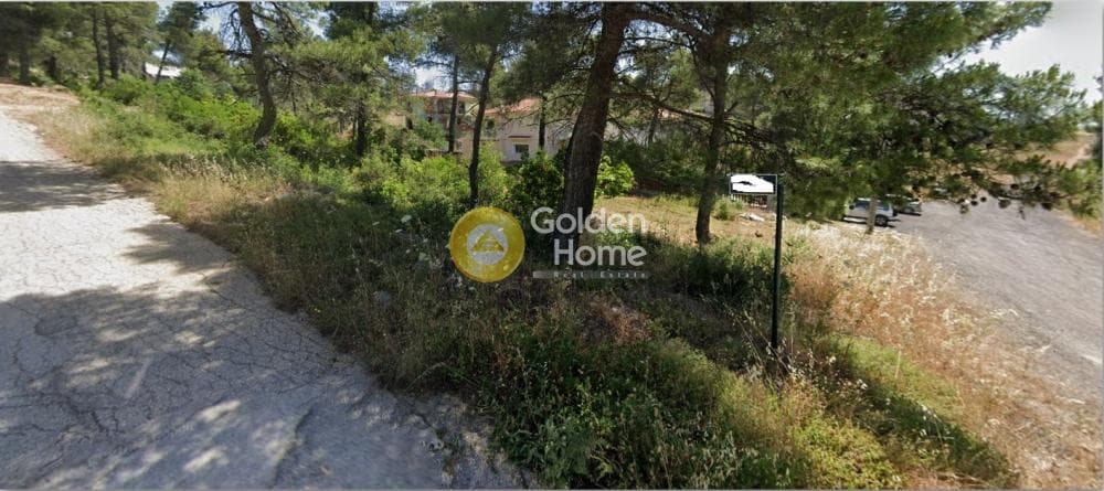 Οικόπεδο στην Αυγή, Αφίδνες — Φωτογραφία 5 από 6