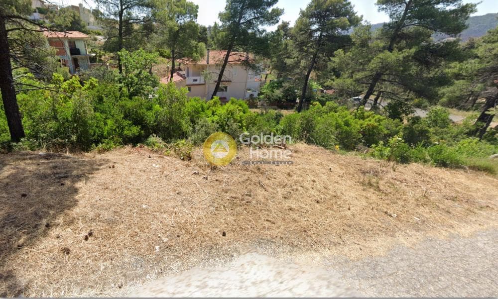 Οικόπεδο στην Αυγή, Αφίδνες — Φωτογραφία 1 από 6