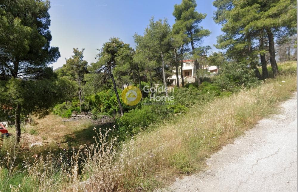 Οικόπεδο στην Αυγή, Αφίδνες — Φωτογραφία 6 από 6