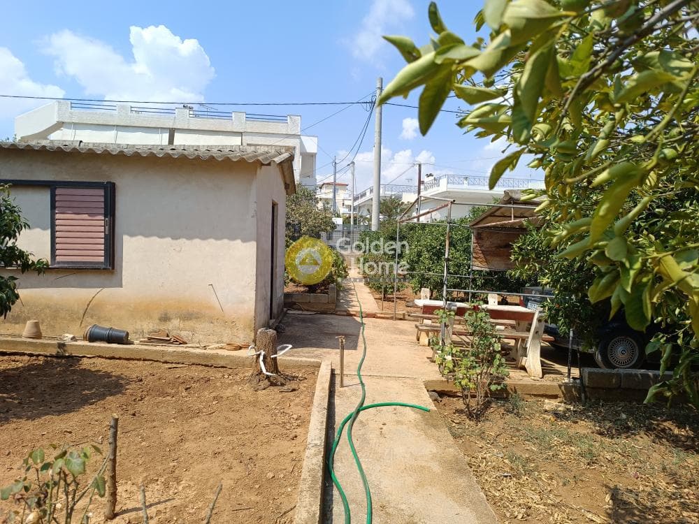 Οικόπεδο στην Βορινέζα, Αρτέμιδα (Λούτσα) — Φωτογραφία 7 από 12