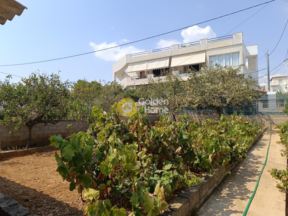 Οικόπεδο στην Βορινέζα, Αρτέμιδα (Λούτσα) — Φωτογραφία 12 από 12