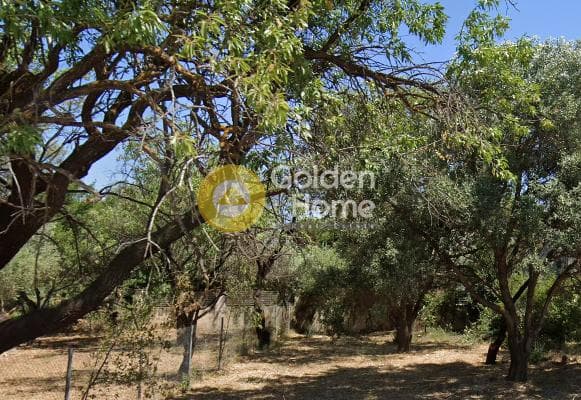 Οικόπεδο στην Νέα Κηφισιά, Κηφισιά