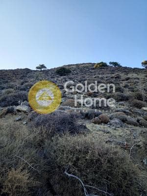 Αγροτεμάχιο στην Βώροι, Τυμπάκι — Φωτογραφία 1 από 3