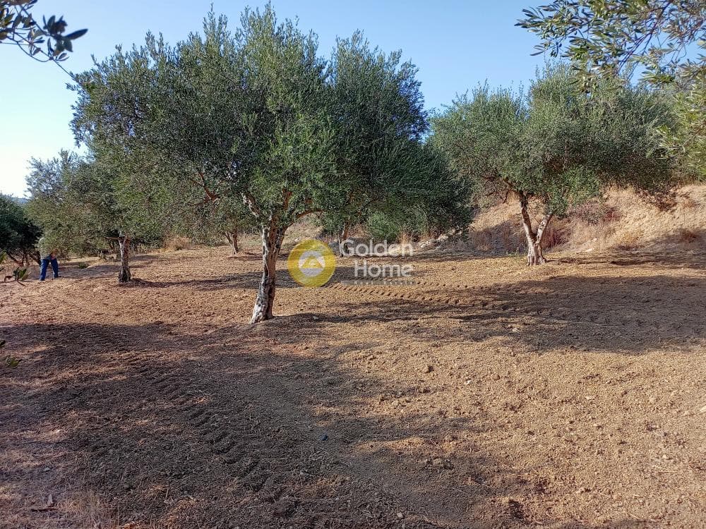 Building Plot in Kamilari, Timpaki — Photo 4 of 8
