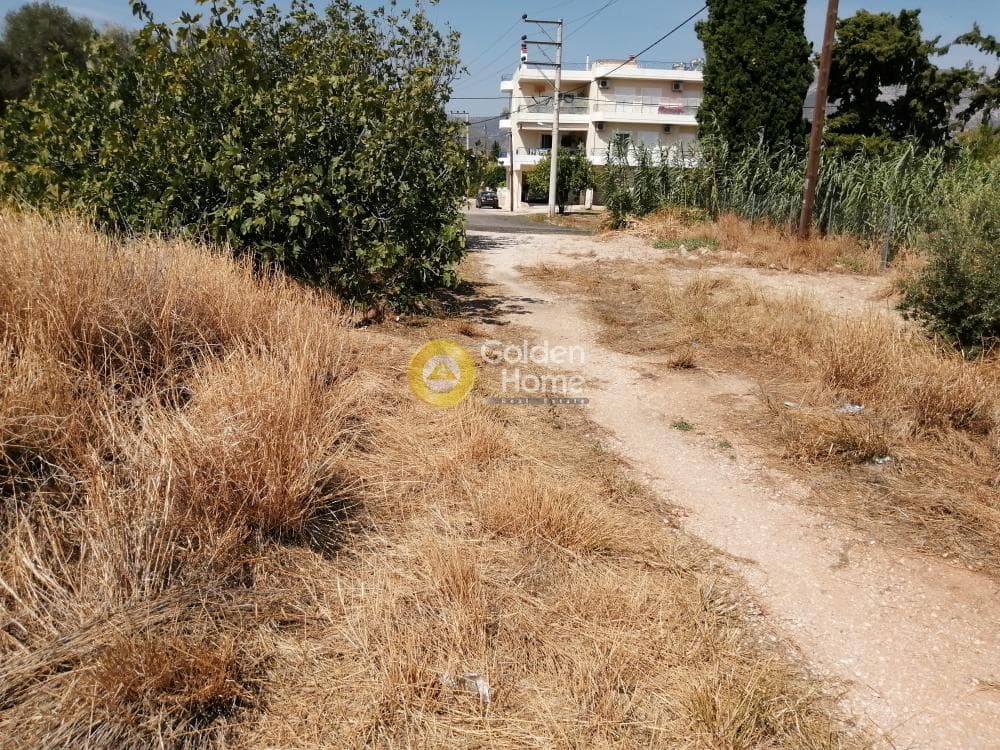 Building Plot in Center, Koropi — Photo 7 of 8