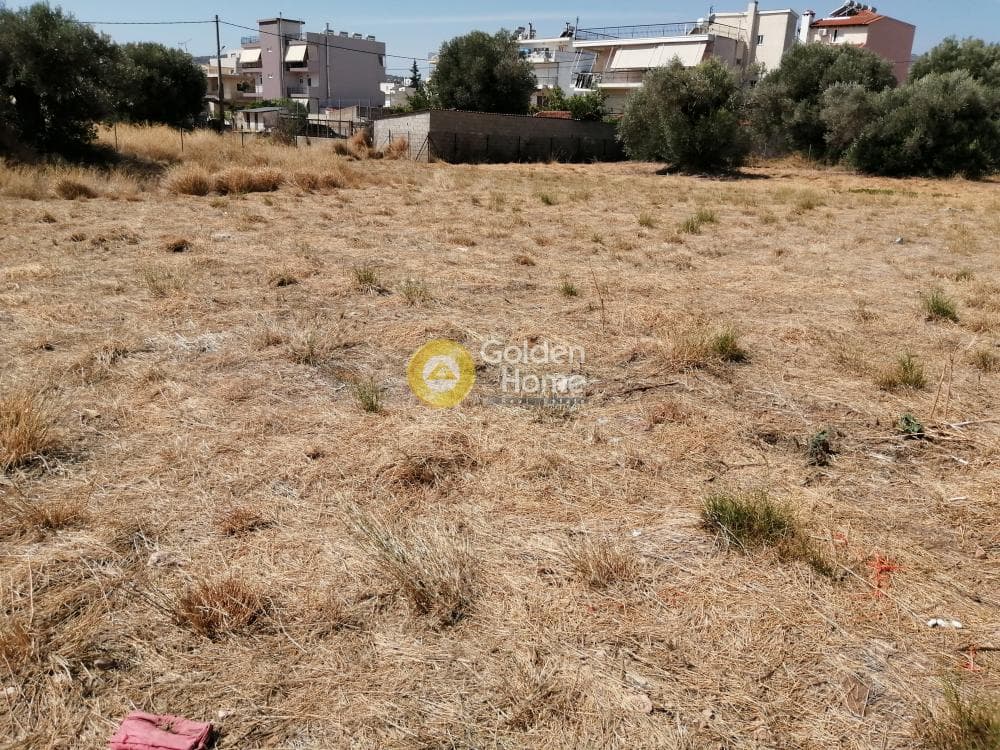 Building Plot in Center, Koropi — Photo 8 of 8