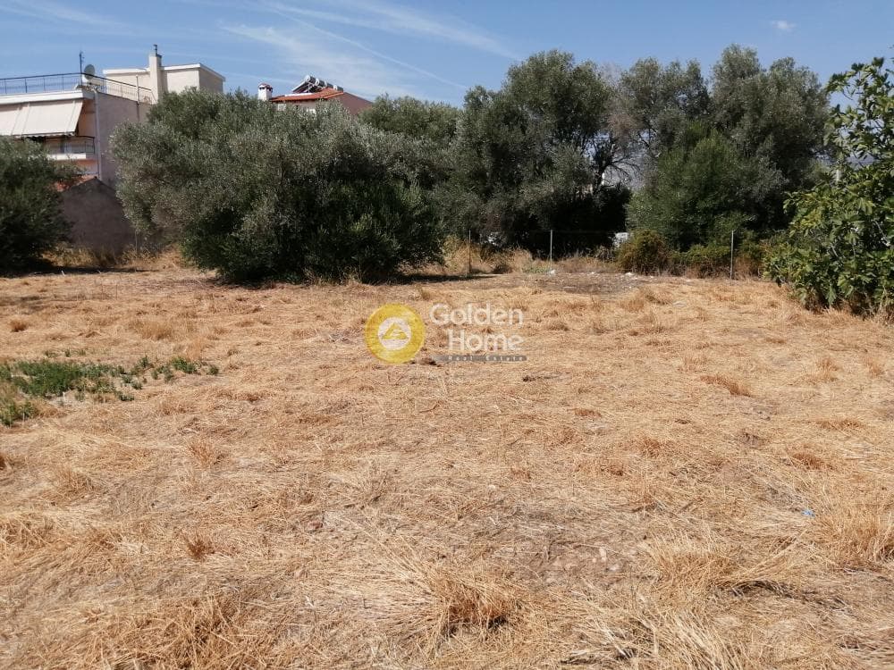 Building Plot in Center, Koropi — Photo 3 of 8