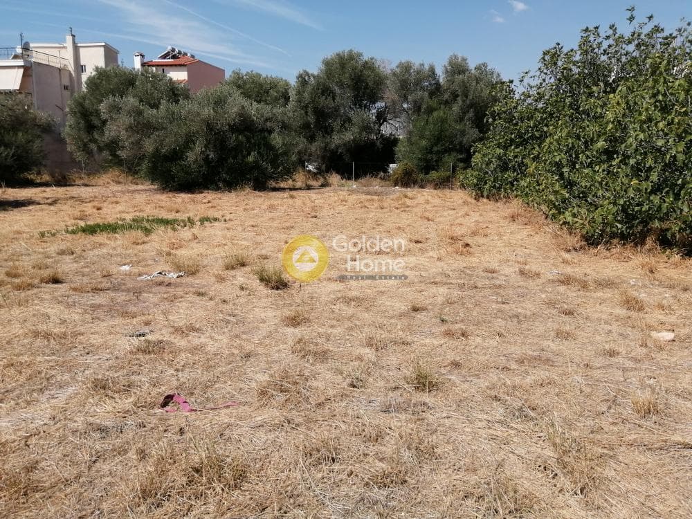 Building Plot in Center, Koropi — Photo 6 of 8