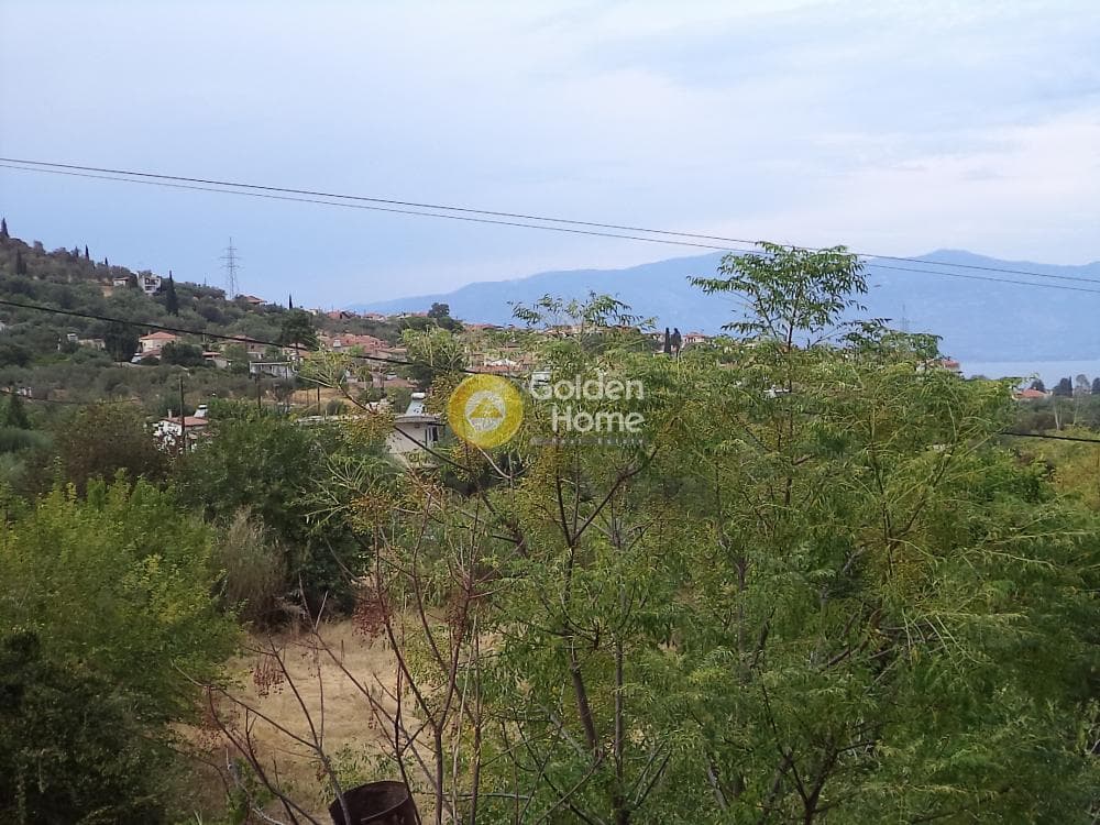 Μονοκατοικία στην Δημητρόπουλο, Αίγιο — Φωτογραφία 9 από 15