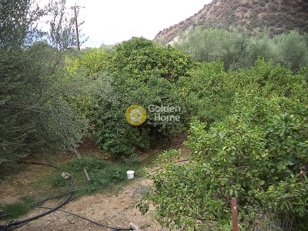 Μονοκατοικία στην Δημητρόπουλο, Αίγιο — Φωτογραφία 12 από 15