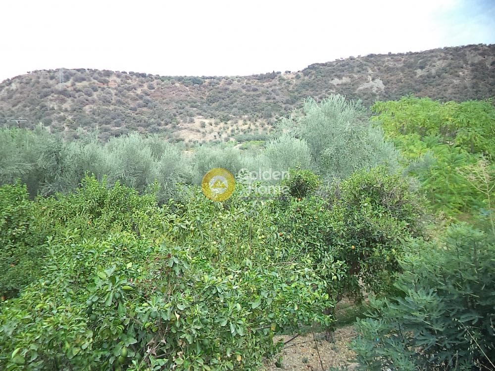 Μονοκατοικία στην Δημητρόπουλο, Αίγιο — Φωτογραφία 13 από 15