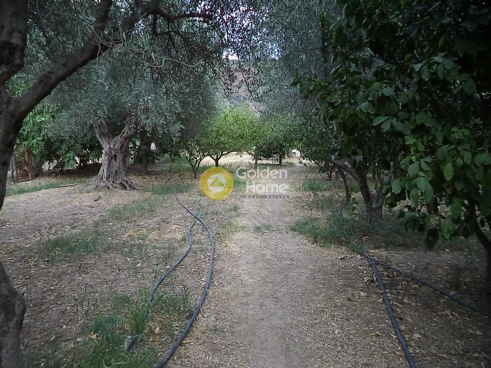 Μονοκατοικία στην Δημητρόπουλο, Αίγιο — Φωτογραφία 14 από 15