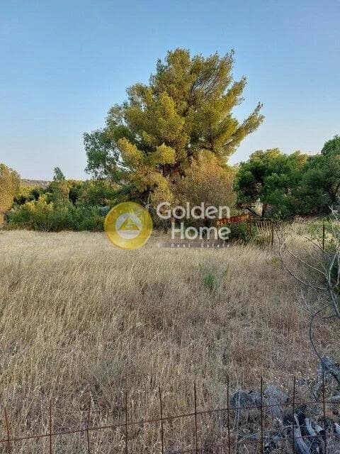 Parcel in Oikismos Vgena, Rafina — Photo 1 of 4