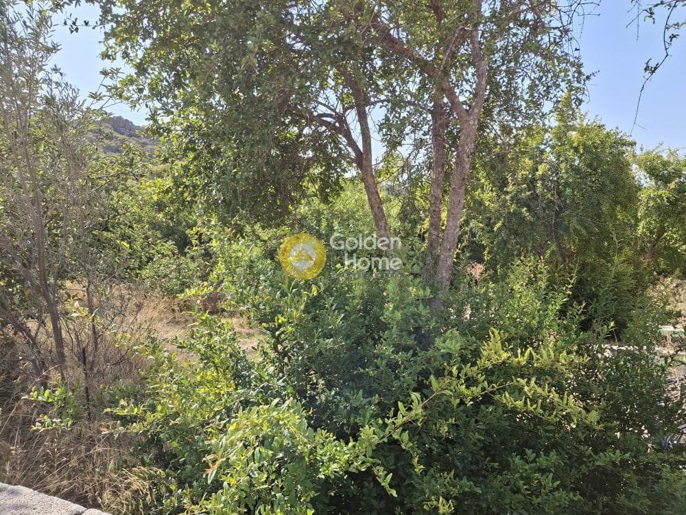 Building Plot in Galazia akti, Kalivia Thorikou — Photo 1 of 2
