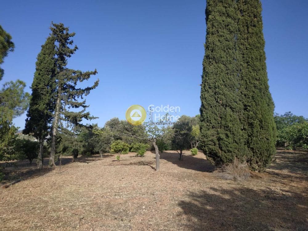 Μονοκατοικία στην Νέα Τραπεζούντα, Κόρινθος — Φωτογραφία 11 από 11
