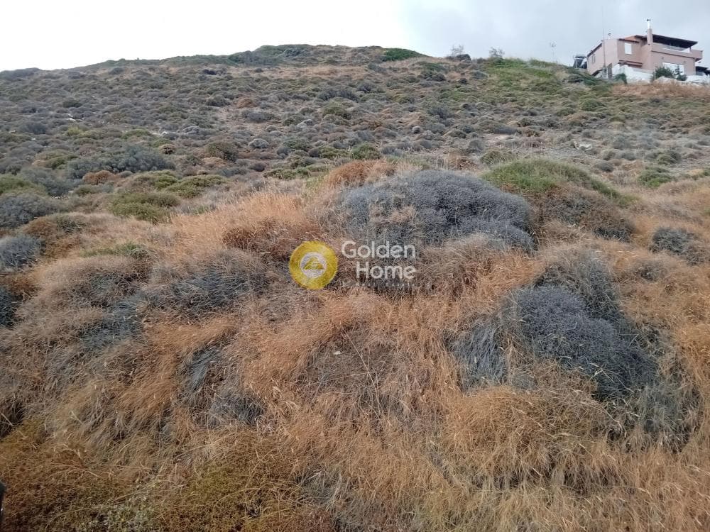 Building Plot in Pefka, Keratea — Photo 6 of 9