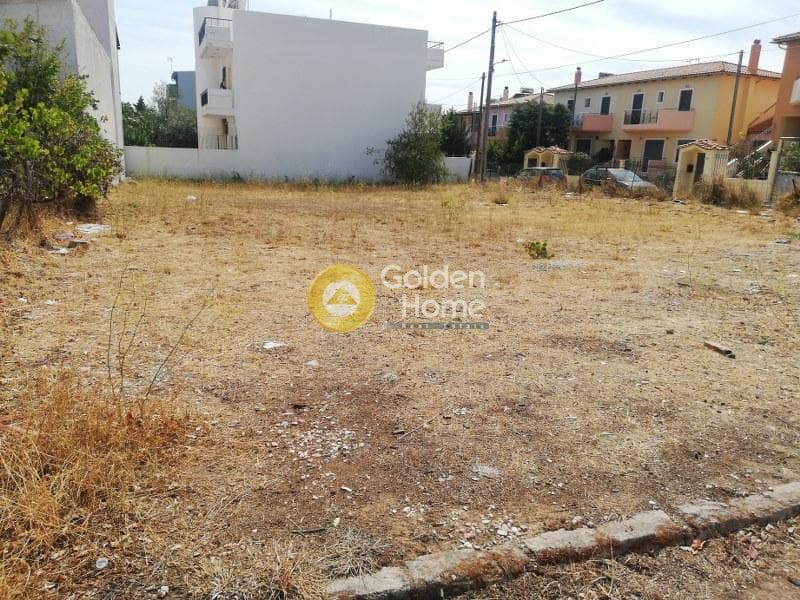 Building Plot in Megala Sxoinia A, Acharnes — Photo 2 of 8