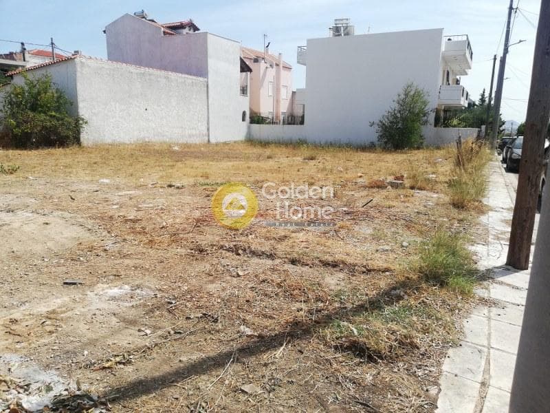 Building Plot in Megala Sxoinia A, Acharnes — Photo 8 of 8