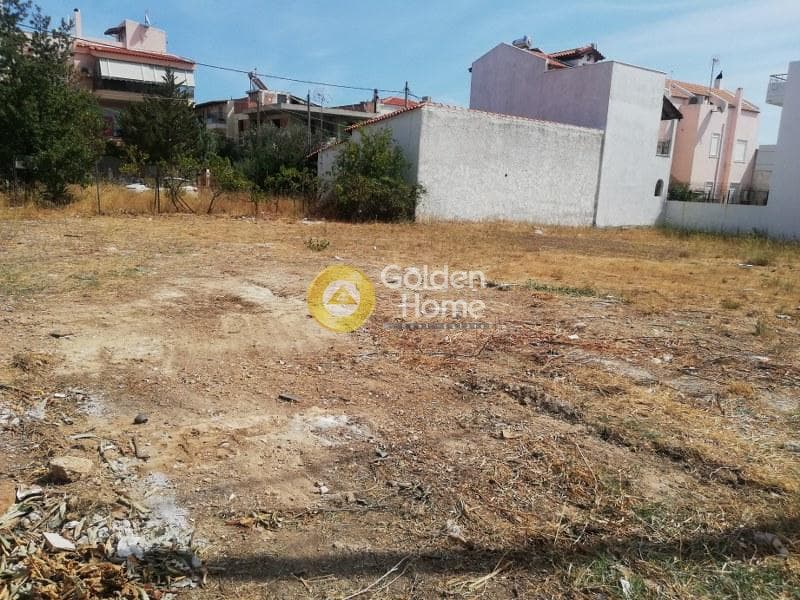 Building Plot in Megala Sxoinia A, Acharnes — Photo 3 of 8