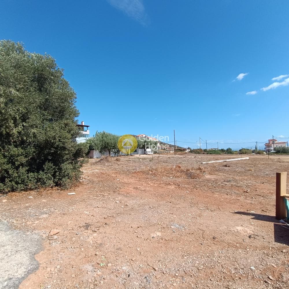Οικόπεδο στην Βορινέζα, Αρτέμιδα (Λούτσα) — Φωτογραφία 1 από 2