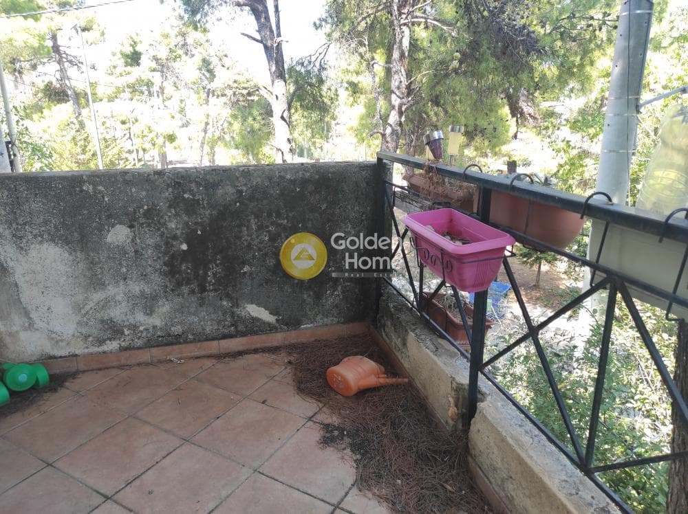 Μονοκατοικία στην Δροσιά, Δροσιά — Φωτογραφία 26 από 56