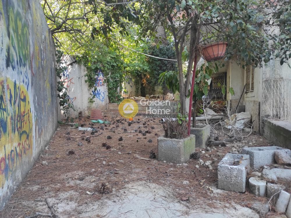 Μονοκατοικία στην Δροσιά, Δροσιά — Φωτογραφία 56 από 56