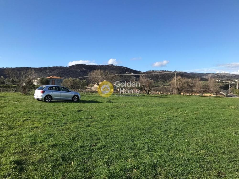 Parcel in Stathmos Afidnon, Afidnes — Photo 2 of 2