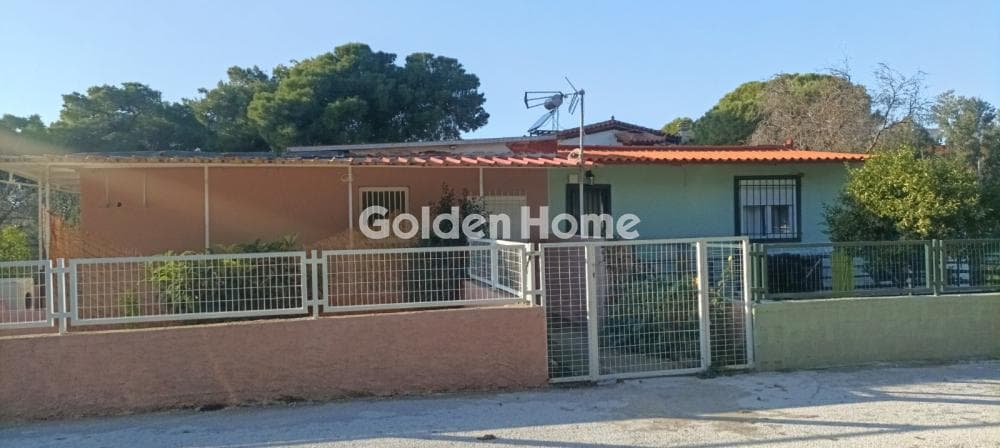 House in Kalivia, Kalivia Thorikou — Photo 26 of 27
