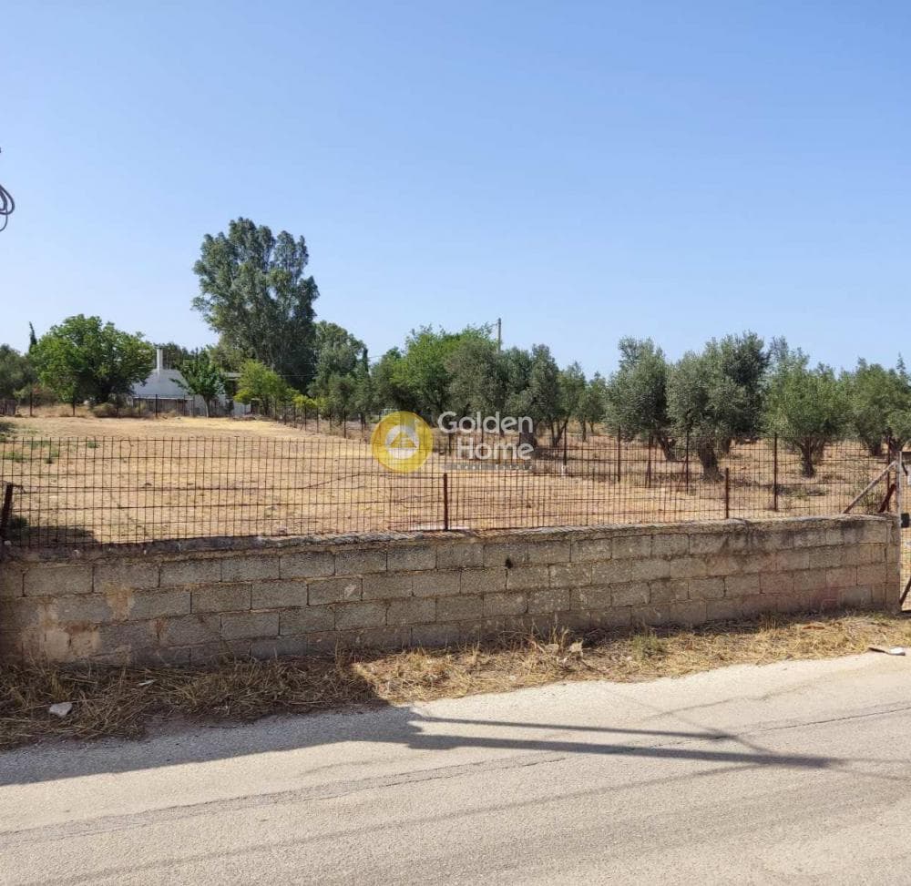 Αγροτεμάχιο στην Τσάμη, Σαλαμίνα