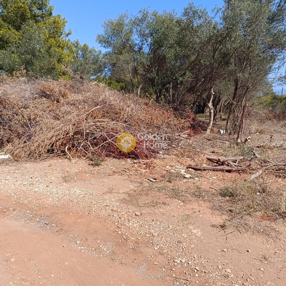 Οικόπεδο στην Άγιος Ανδρέας, Νέα Μάκρη — Φωτογραφία 2 από 3